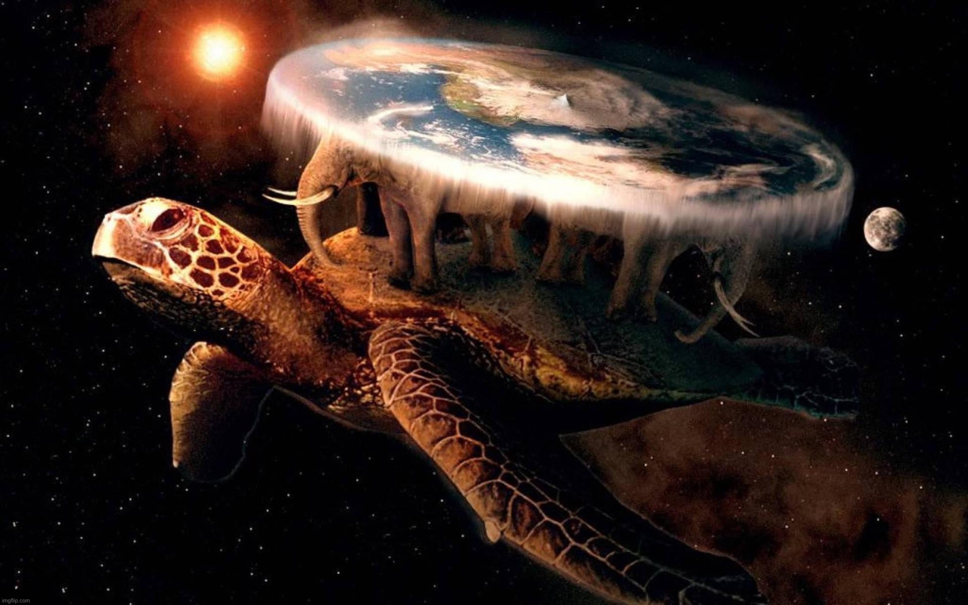 Is turtle earth our reality? | image tagged in turtle earth | made w/ Imgflip meme maker