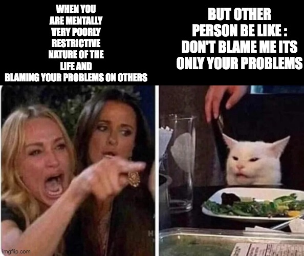 Confused Cat at Dinner | BUT OTHER PERSON BE LIKE :
DON'T BLAME ME ITS ONLY YOUR PROBLEMS; WHEN YOU ARE MENTALLY VERY POORLY RESTRICTIVE NATURE OF THE LIFE AND BLAMING YOUR PROBLEMS ON OTHERS | image tagged in confused cat at dinner | made w/ Imgflip meme maker