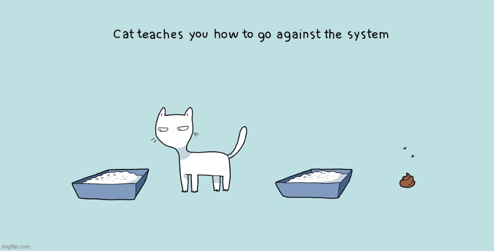 A Cat's Way Of Thinking | image tagged in memes,comics,cats,litter box,system,its not going to happen | made w/ Imgflip meme maker