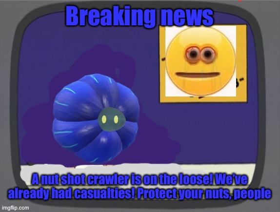 glimmora news thing temp | Breaking news; A nut shot crawler is on the loose! We’ve already had casualties! Protect your nuts, people | image tagged in glimmora news thing temp | made w/ Imgflip meme maker