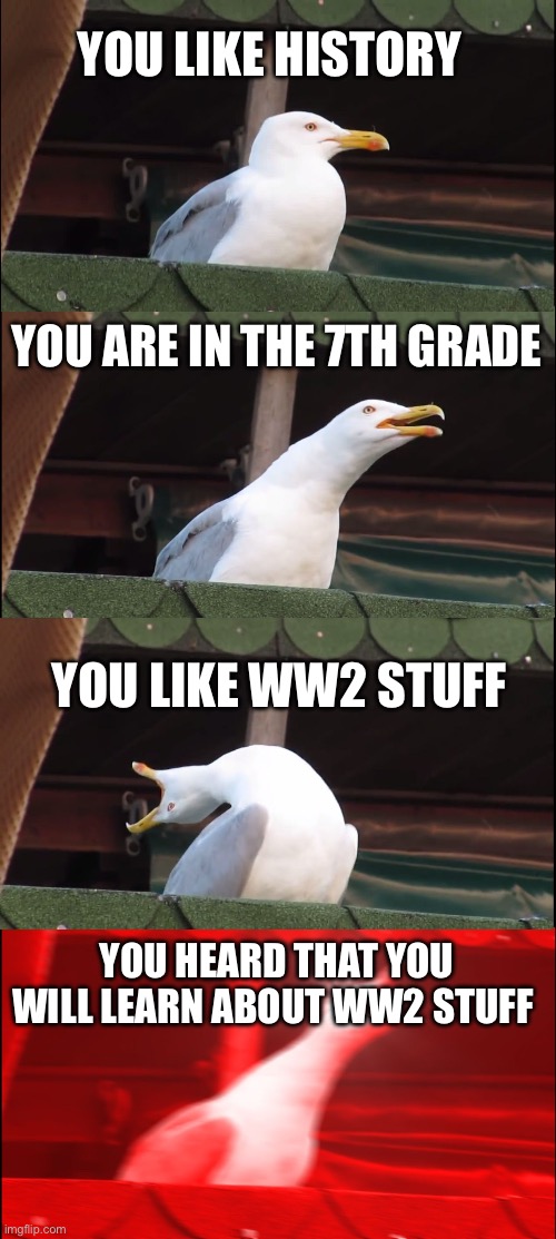 Yas | YOU LIKE HISTORY; YOU ARE IN THE 7TH GRADE; YOU LIKE WW2 STUFF; YOU HEARD THAT YOU WILL LEARN ABOUT WW2 STUFF | image tagged in memes,inhaling seagull | made w/ Imgflip meme maker
