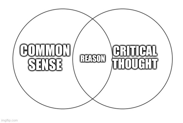 venn diagram | COMMON SENSE REASON CRITICAL THOUGHT | image tagged in venn diagram | made w/ Imgflip meme maker