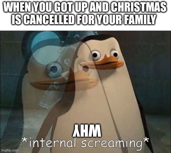 You know what this is about | WHEN YOU GOT UP AND CHRISTMAS IS CANCELLED FOR YOUR FAMILY; WHY | image tagged in private internal screaming | made w/ Imgflip meme maker
