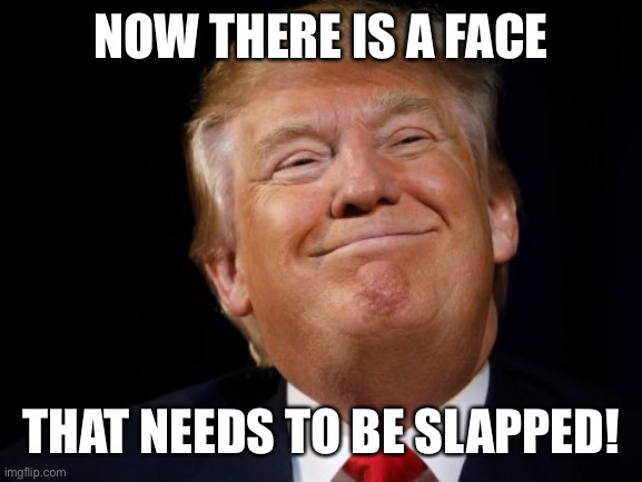 Smug Trump | NOW THERE IS A FACE; THAT NEEDS TO BE SLAPPED! | image tagged in smug trump | made w/ Imgflip meme maker