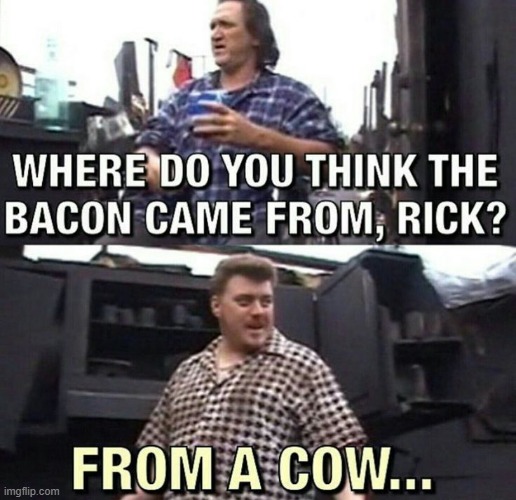 Trailer park boys meme | image tagged in funny | made w/ Imgflip meme maker