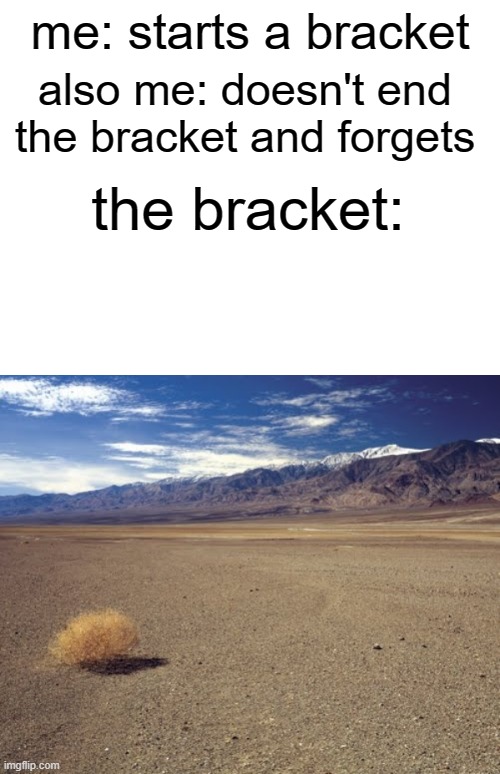 it's everywhere in my book lol | me: starts a bracket; also me: doesn't end the bracket and forgets; the bracket: | image tagged in desert tumbleweed | made w/ Imgflip meme maker
