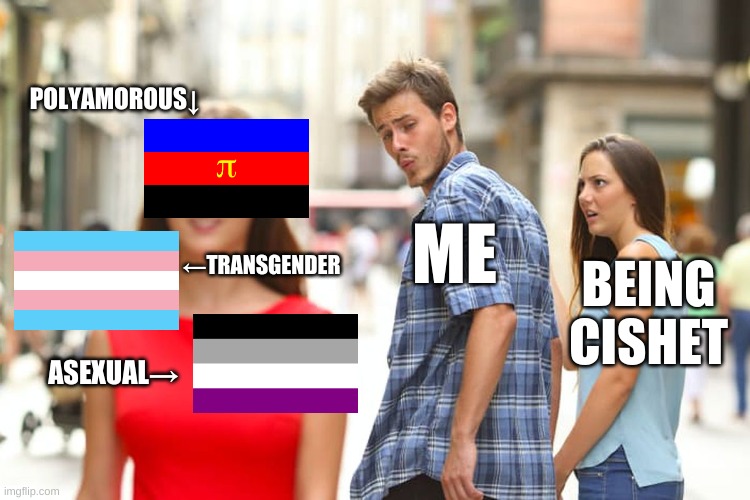 Ah yes, obvoiusly the better choice | POLYAMOROUS↓; ME; ←TRANSGENDER; BEING CISHET; ASEXUAL→ | image tagged in memes,distracted boyfriend,polyamorous,transgender,asexual | made w/ Imgflip meme maker