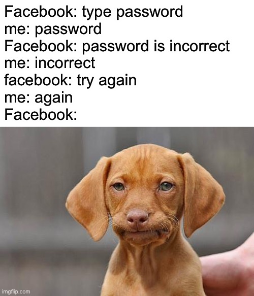 Dissapointed puppy | Facebook: type password
me: password
Facebook: password is incorrect
me: incorrect
facebook: try again
me: again
Facebook: | image tagged in dissapointed puppy | made w/ Imgflip meme maker