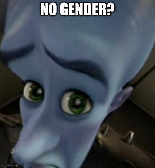 My gender is somewhere in my dirty laundry pile |  NO GENDER? | image tagged in megamind no bitches,gender | made w/ Imgflip meme maker