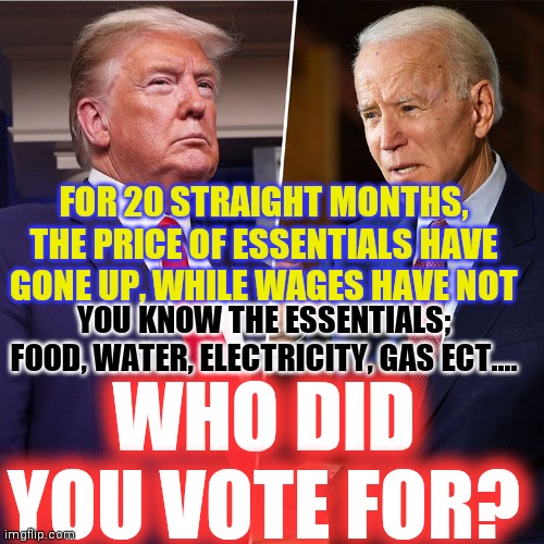 The Essentials or What Happened 20 Months Ago | FOR 20 STRAIGHT MONTHS, THE PRICE OF ESSENTIALS HAVE GONE UP, WHILE WAGES HAVE NOT; YOU KNOW THE ESSENTIALS; FOOD, WATER, ELECTRICITY, GAS ECT.... WHO DID YOU VOTE FOR? | image tagged in trump biden,admit it,stop the lies,brainwashed,communism cult,peasant joke | made w/ Imgflip meme maker