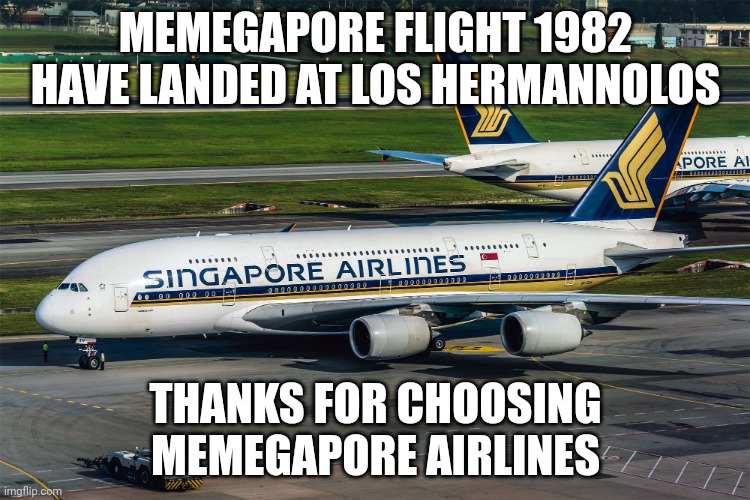 Singapore Airlines plane | MEMEGAPORE FLIGHT 1982 HAVE LANDED AT LOS HERMANNOLOS; THANKS FOR CHOOSING MEMEGAPORE AIRLINES | image tagged in singapore airlines plane | made w/ Imgflip meme maker