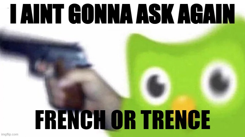 duolingo gun | I AINT GONNA ASK AGAIN; FRENCH OR TRENCE | image tagged in duolingo gun | made w/ Imgflip meme maker