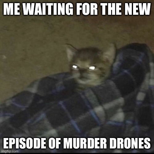 SMG4 | ME WAITING FOR THE NEW; EPISODE OF MURDER DRONES | image tagged in cat in a blanket | made w/ Imgflip meme maker
