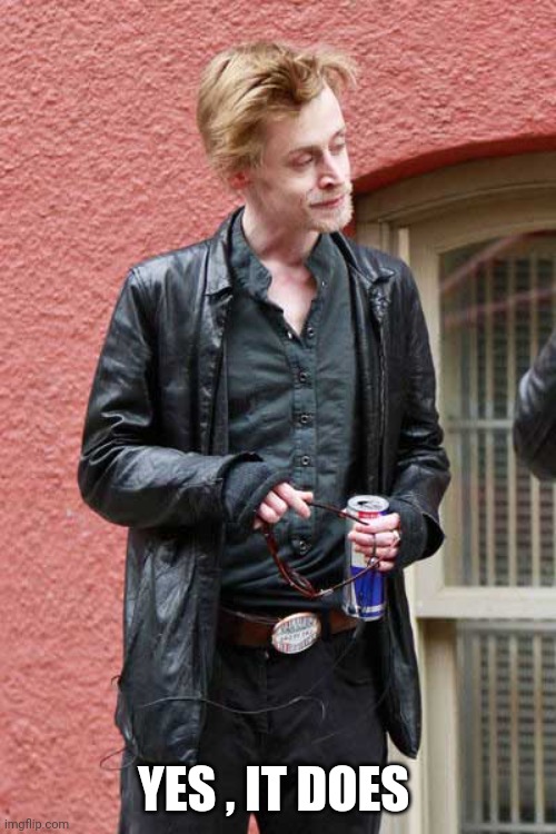 Macaulay "Soloalone" Culkin | YES , IT DOES | image tagged in macaulay soloalone culkin | made w/ Imgflip meme maker