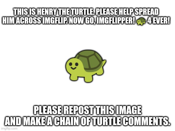 ? | THIS IS HENRY THE TURTLE. PLEASE HELP SPREAD HIM ACROSS IMGFLIP. NOW GO, IMGFLIPPER! 🐢 4 EVER! 🐢; PLEASE REPOST THIS IMAGE AND MAKE A CHAIN OF TURTLE COMMENTS. | image tagged in turtle,turtles,i like turtles,turtles are cool | made w/ Imgflip meme maker