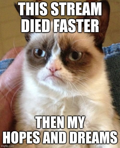 the attempt to revive it was a year ago | THIS STREAM DIED FASTER; THEN MY HOPES AND DREAMS | image tagged in memes,grumpy cat | made w/ Imgflip meme maker