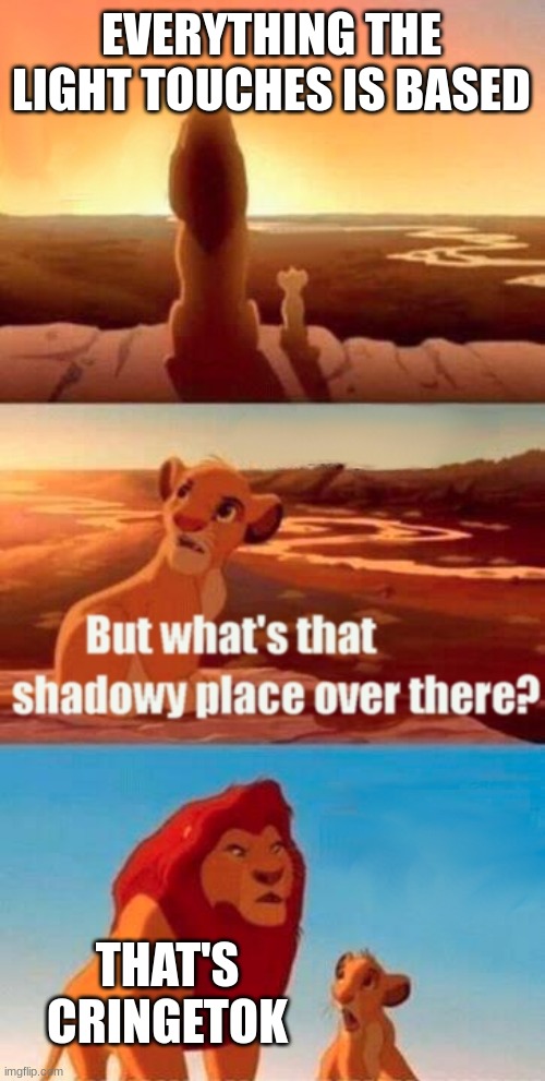 Based Mufasa | EVERYTHING THE LIGHT TOUCHES IS BASED; THAT'S CRINGETOK | image tagged in memes,simba shadowy place | made w/ Imgflip meme maker