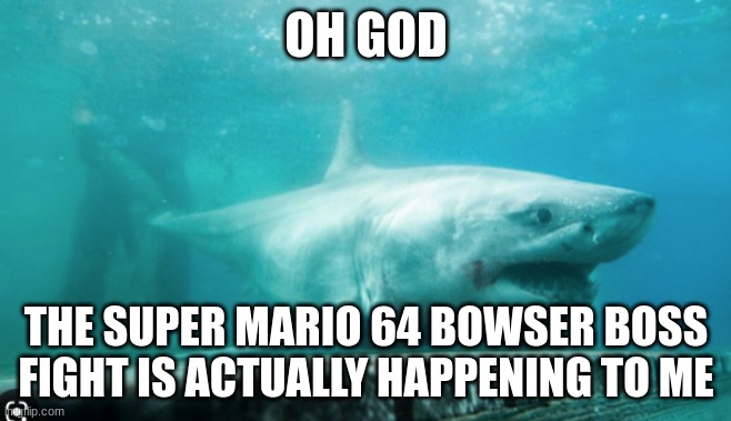 so long, gay bowser! | OH GOD; THE SUPER MARIO 64 BOWSER BOSS FIGHT IS ACTUALLY HAPPENING TO ME | image tagged in great white shark | made w/ Imgflip meme maker