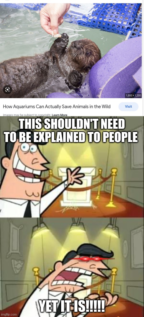Why should people explain something that should be common sense | THIS SHOULDN'T NEED TO BE EXPLAINED TO PEOPLE; YET IT IS!!!!! | image tagged in memes,this is where i'd put my trophy if i had one,aquarium | made w/ Imgflip meme maker