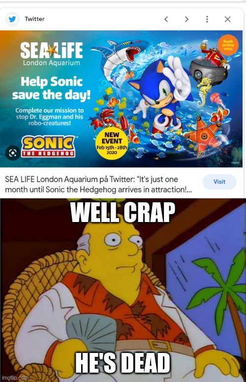 *drowning music intensifies* | WELL CRAP; HE'S DEAD | image tagged in well crap,sonic the hedgehog | made w/ Imgflip meme maker