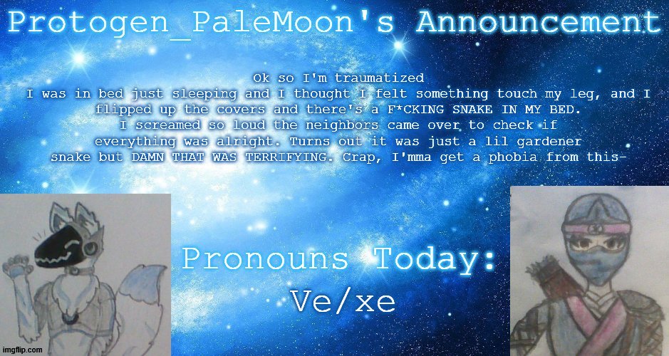 snakes. w h y   d i d   i t   h a v e   t o   b e   s n a k e s | Ok so I'm traumatized
I was in bed just sleeping and I thought I felt something touch my leg, and I flipped up the covers and there's a F*CKING SNAKE IN MY BED. I screamed so loud the neighbors came over to check if everything was alright. Turns out it was just a lil gardener snake but DAMN THAT WAS TERRIFYING. Crap, I'mma get a phobia from this-; Ve/xe | image tagged in protogen_palemoon's announcement template,snakes,fear | made w/ Imgflip meme maker