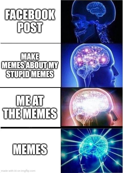 Expanding Brain Meme | FACEBOOK POST; MAKE MEMES ABOUT MY STUPID MEMES; ME AT THE MEMES; MEMES | image tagged in memes,expanding brain | made w/ Imgflip meme maker
