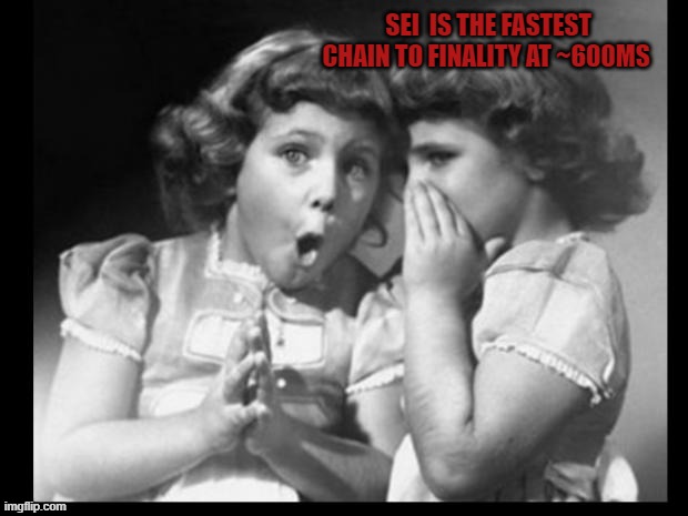 Friends sharing | SEI  IS THE FASTEST CHAIN TO FINALITY AT ~600MS | image tagged in friends sharing | made w/ Imgflip meme maker
