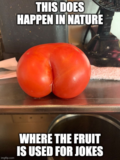 Deformed Tomato | THIS DOES HAPPEN IN NATURE; WHERE THE FRUIT IS USED FOR JOKES | image tagged in tomato,memes | made w/ Imgflip meme maker