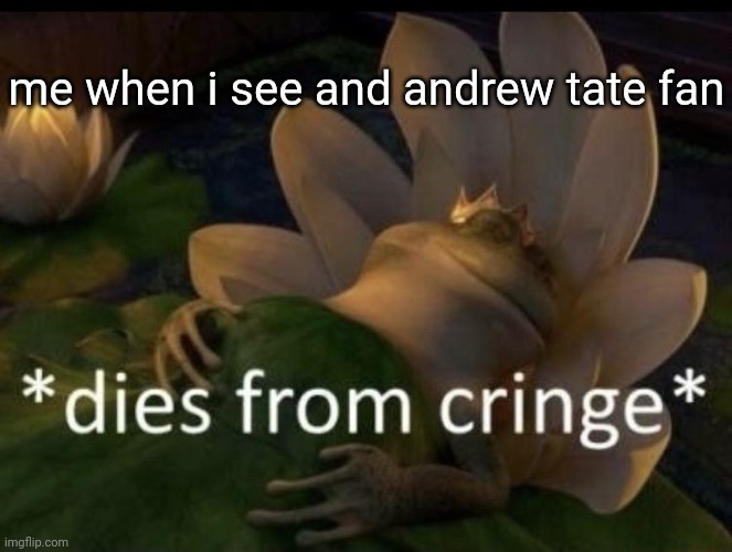 Dies from cringe | me when i see and andrew tate fan | image tagged in dies from cringe | made w/ Imgflip meme maker