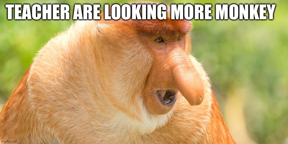 TEACHER ARE LOOKING MORE MONKEY | image tagged in memes | made w/ Imgflip meme maker