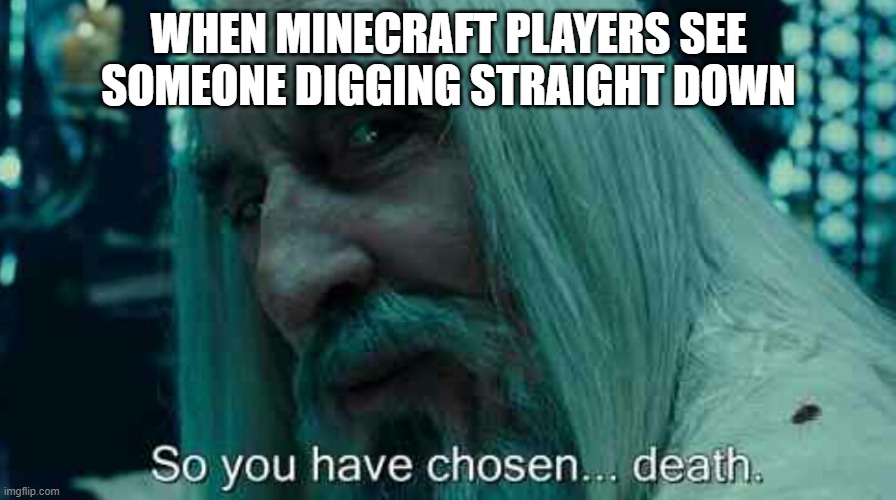 Minecraft be like | WHEN MINECRAFT PLAYERS SEE SOMEONE DIGGING STRAIGHT DOWN | image tagged in so you have chosen death | made w/ Imgflip meme maker