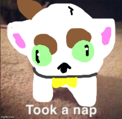 took a nap spleens | image tagged in took a nap spleens | made w/ Imgflip meme maker