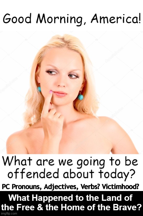 Question of the Day | What Happened to the Land of 
the Free & the Home of the Brave? PC Pronouns, Adjectives, Verbs? Victimhood? | image tagged in politics,imgflip humor,liberals vs conservatives,offended,pc,america | made w/ Imgflip meme maker