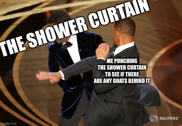 the shower curtain ghoast | THE SHOWER CURTAIN; ME PUNCHING THE SHOWER CURTAIN TO SEE IF THERE ARE ANY GOATS BEHIND IT | image tagged in will smith punching chris rock | made w/ Imgflip meme maker