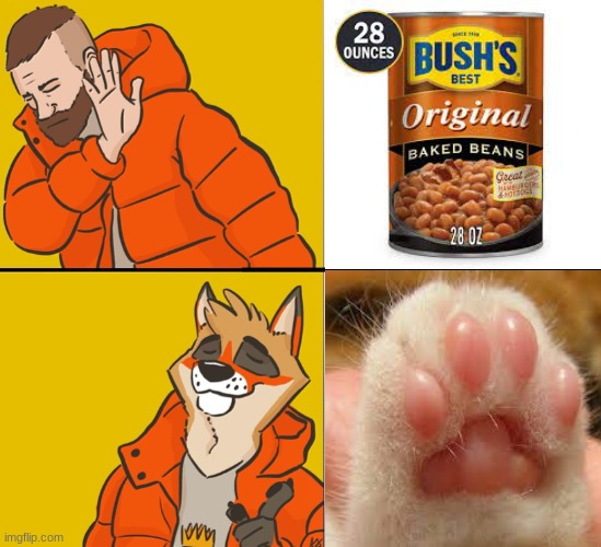 No to Beans, Yes to BEANS | image tagged in furry drake,memes,furry,beans | made w/ Imgflip meme maker