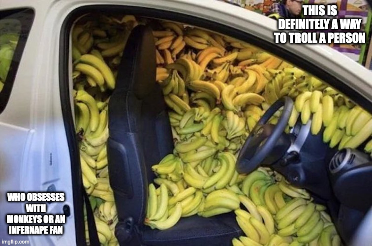 Car Full of Bananas | THIS IS DEFINITELY A WAY TO TROLL A PERSON; WHO OBSESSES WITH MONKEYS OR AN INFERNAPE FAN | image tagged in banana,cars,memes | made w/ Imgflip meme maker