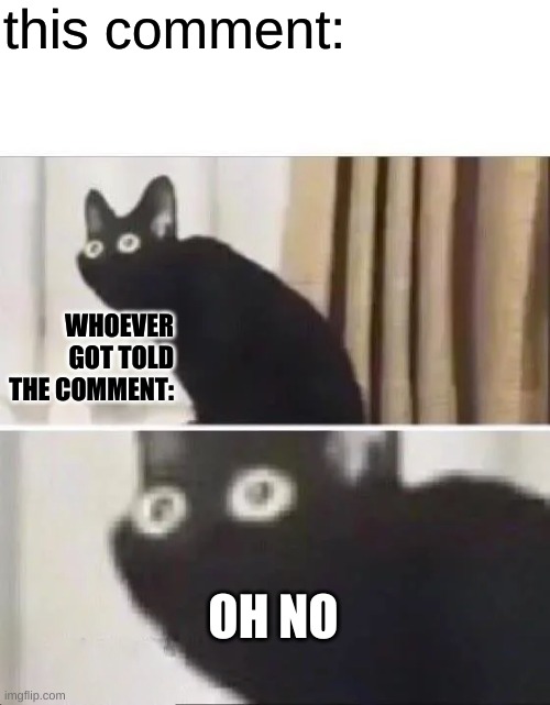 Oh No Black Cat | this comment: WHOEVER GOT TOLD THE COMMENT: OH NO | image tagged in oh no black cat | made w/ Imgflip meme maker