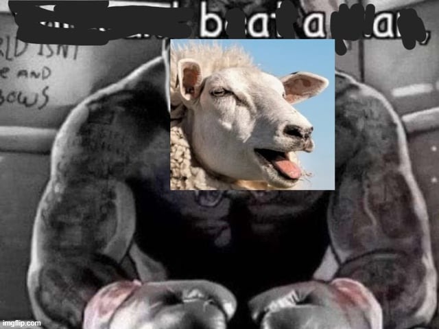 baaa | made w/ Imgflip meme maker