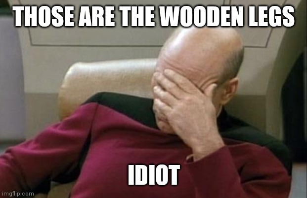 Captain Picard Facepalm Meme | THOSE ARE THE WOODEN LEGS IDIOT | image tagged in memes,captain picard facepalm | made w/ Imgflip meme maker