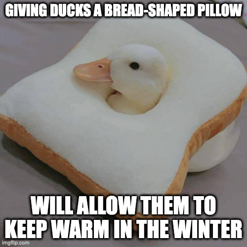 Duck With Sliced Bread-Shaped Pillow | GIVING DUCKS A BREAD-SHAPED PILLOW; WILL ALLOW THEM TO KEEP WARM IN THE WINTER | image tagged in duck,pillow,memes | made w/ Imgflip meme maker