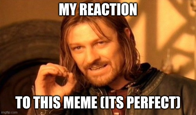 MY REACTION TO THIS MEME (ITS PERFECT) | image tagged in memes,one does not simply | made w/ Imgflip meme maker