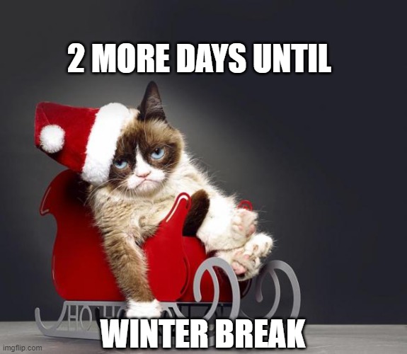 Winter Break | 2 MORE DAYS UNTIL; WINTER BREAK | image tagged in grumpy cat christmas hd | made w/ Imgflip meme maker