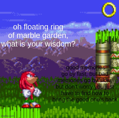 oh floating ring of marble garden, what is your wisdom? | good memories go by fast, but bad memories go by slow, but don't worry you just have to find how to bring the good one's back | image tagged in oh floating ring of marble garden what is your wisdom | made w/ Imgflip meme maker