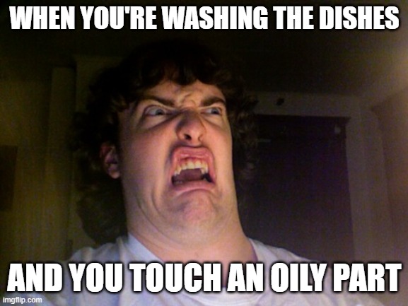 agree? | WHEN YOU'RE WASHING THE DISHES; AND YOU TOUCH AN OILY PART | image tagged in memes,oh no | made w/ Imgflip meme maker