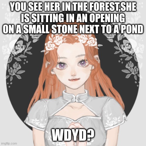 rules in tags | YOU SEE HER IN THE FOREST,SHE IS SITTING IN AN OPENING ON A SMALL STONE NEXT TO A POND; WDYD? | image tagged in women preferred,no joke,no bambi,erp in memchat | made w/ Imgflip meme maker