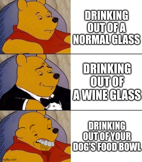 Best,Better, Blurst | DRINKING OUT OF A NORMAL GLASS; DRINKING OUT OF A WINE GLASS; DRINKING OUT OF YOUR DOG'S FOOD BOWL | image tagged in best better blurst | made w/ Imgflip meme maker