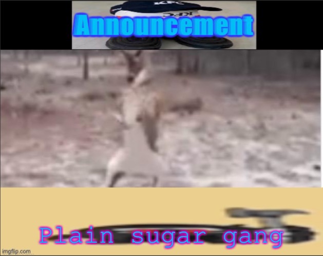 Nom nom | Plain sugar gang | image tagged in neon announcement template | made w/ Imgflip meme maker