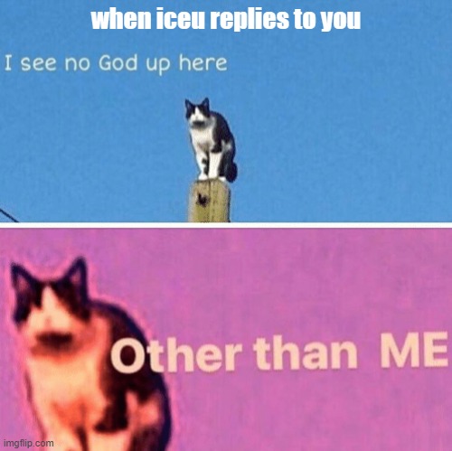 Image title | when iceu replies to you | image tagged in hail pole cat | made w/ Imgflip meme maker
