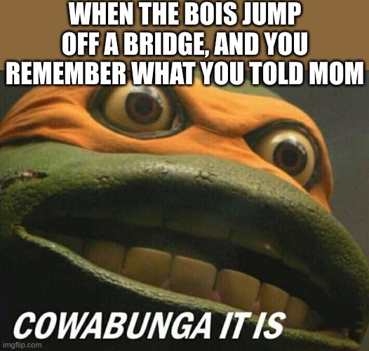 Cowabunga it is | WHEN THE BOIS JUMP OFF A BRIDGE, AND YOU REMEMBER WHAT YOU TOLD MOM | image tagged in cowabunga it is | made w/ Imgflip meme maker