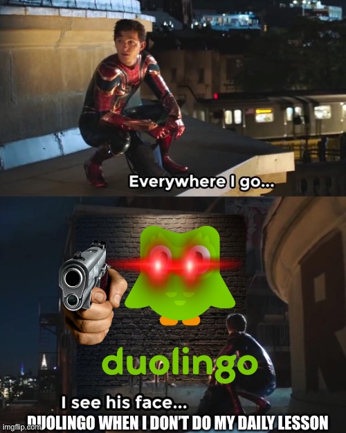 Duolingo | DUOLINGO WHEN I DON’T DO MY DAILY LESSON | image tagged in everywhere i go i see his face | made w/ Imgflip meme maker